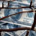 Kim Dotcom on the ‘Great Reset,’ Strong Russian Ruble Puzzles Economists, and More — Bitcoin.com News Week in Review – The Weekly Bitcoin News
