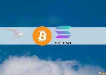 Bitcoin Recovers After Dipping Below $18K, Solana Leads Altcoin Relief Rally: This Week’s Crypto Recap