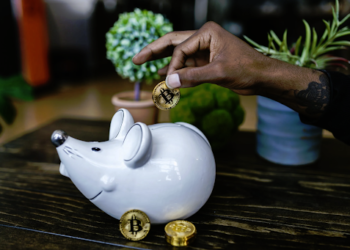 A Guide to the Similarities and Differences for Beginner Investors