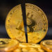 ‘It’s Nothing Without its Energy Consumption’, Says Peter Brandt against BTC