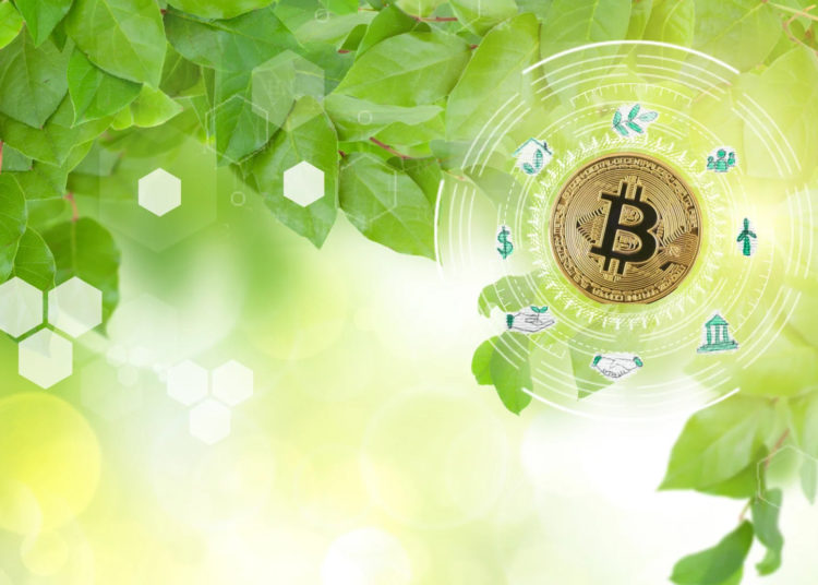 AAX Launches Impact Lab to Drive Inclusion and Sustainability within the Digital Assets Industry