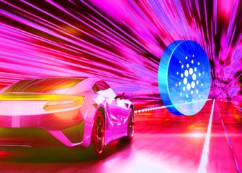 Analyst Michaël van de Poppe Predicts Sharp Rallies for Cardano, Binance Coin and Two Additional Altcoins