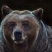 Crypto bear market could last another 8 months