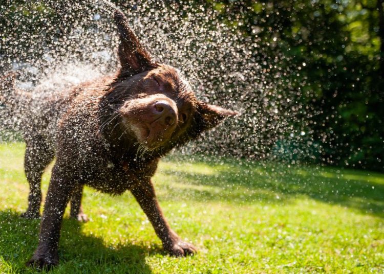 70 to 90% Down — Crypto Economy’s Decline Shakes Out $2 Trillion in 8 Months – Market Updates Bitcoin News