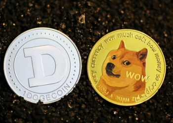 The Launch of Xchange Monster (MXCH) – Can it Reach the Heights of Dogecoin (DOGE) and Avalanche (AVAX)?