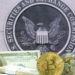 SEC Labels Nine Tokens As Securities