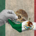 Senator Indira Kempis Proposes Bill to Make Bitcoin Legal Tender in Mexico – Regulation Bitcoin News