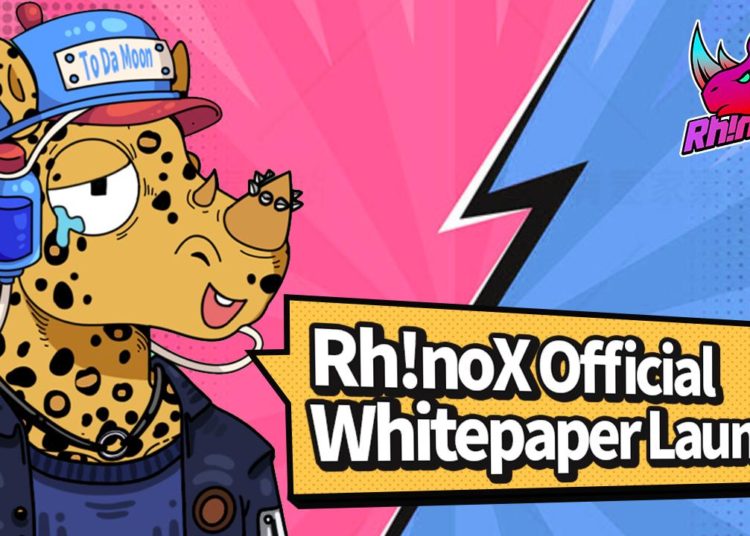 BinaryX Releases RhinoX Whitepaper Detailing…