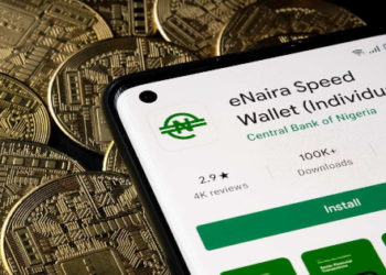 Nigeria’s eNaira Records 200,000 Transactions Worth Over $10 Million Since October