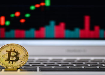 Bitcoin Shark, Whale Addresses Have Been Surging Since Mid-June