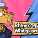 BinaryX Releases RhinoX Whitepaper Detailing New Key Features of its Ecosystem