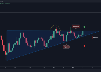 This Indicator Suggests SOL May Reach $60, But There’s a Catch (Solana Price Analysis)