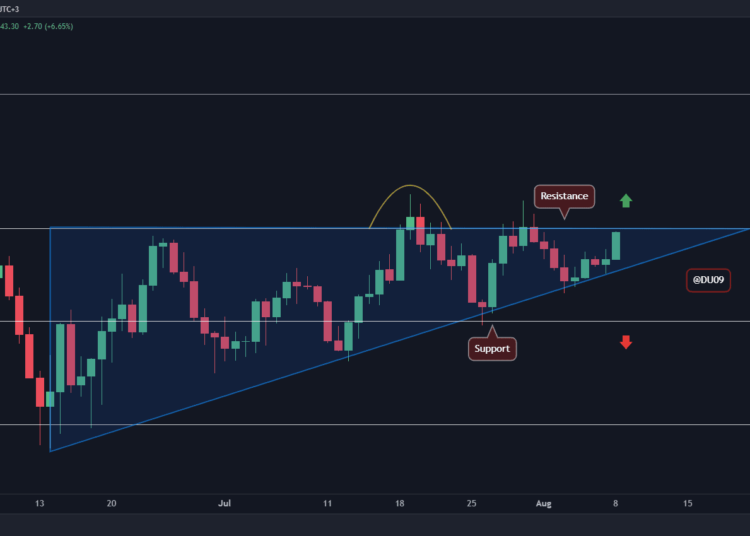 This Indicator Suggests SOL May Reach $60, But There’s a Catch (Solana Price Analysis)