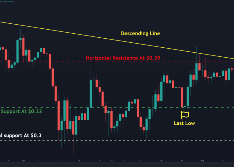 Following a 13% Drop, Can the Bulls Bounce Back?