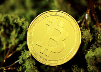 Crypto Enthusiasts Predict Zompot, Shiba Inu,…