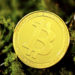 Crypto Enthusiasts Predict Zompot, Shiba Inu,…