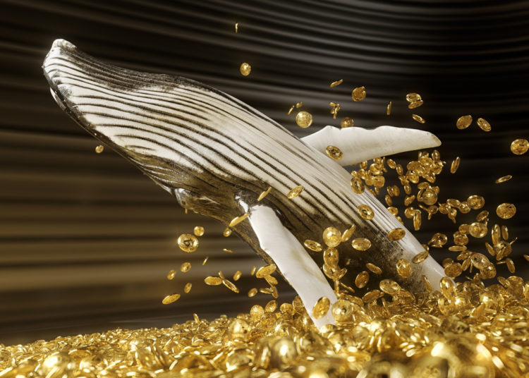 Whale Spends 10,000 BTC Worth $203M, Bitcoins Stem From the Infamous 2011 Mt Gox Hack – Bitcoin News