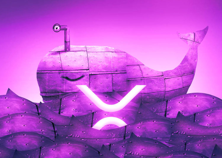 XRP Network Abruptly Comes to Life As Number of Whale Transactions Surges to Three-Month High: Analytics Firm