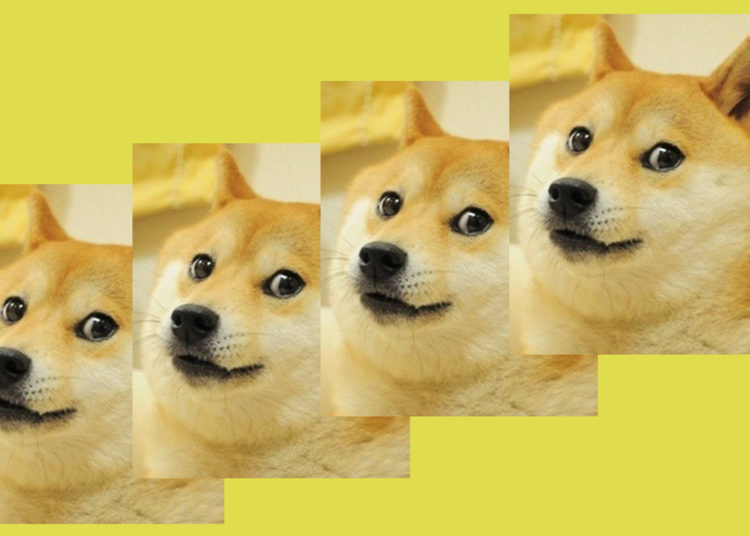 Fractional NFT Markets Slide 76% in Value in 7 Months, Diced-up Doge NFT Still Leads the Pack – Blockchain Bitcoin News