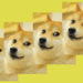 Fractional NFT Markets Slide 76% in Value in 7 Months, Diced-up Doge NFT Still Leads the Pack – Blockchain Bitcoin News