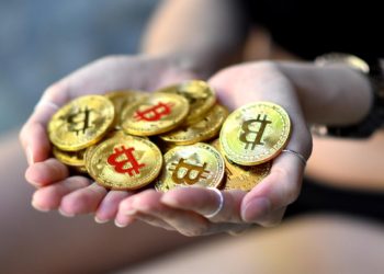The Crypto Market Crashed But They’re Still Buying Bitcoin