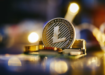 Could Immunicorn Finance, BTC Make You Millionaire after the Cras…