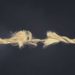 HUSD Stablecoin Loses Dollar Peg, Huobi Supposedly Jumped Ship in April