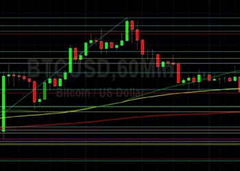 BTC/USD Stops Elected Below 23798: Sally Ho’…