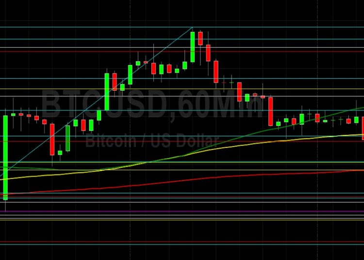 BTC/USD Stops Elected Below 23798: Sally Ho’…