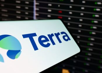 Case against Do Kown is “highly politicized”: Terraform Labs