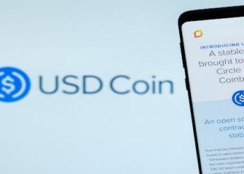 Circle CEO Allaire Supports Binance Stablecoin Decision