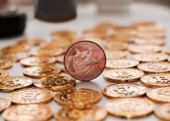Dogecoin and SHIB rival pumping up