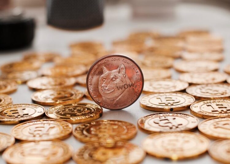 Dogecoin and SHIB rival pumping up