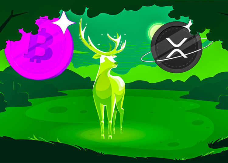 Analytics Firm Says Bitcoin and XRP Flashing Bullish Signals, Predicts Further Downside for One Top-25 Altcoin