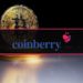 Coinberry’s Software Blunder Costs $3M in Bitcoin: Report