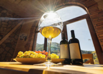 Cardano Blockchain to Stimulate Authenticity and Quality of Georgian Wine