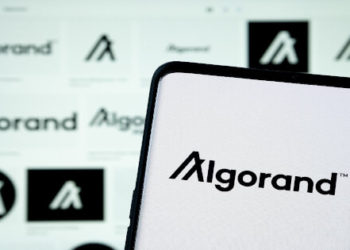 Algorand Foundation Faces $35M Losses from Exposure to Hodlnaut