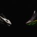 Puma Launches Its First Metaverse Experience With NFT Shoes. Can It Compete Against Nike?