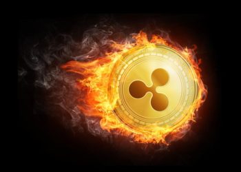Will the World Central Bank Digital Currency be based on the XRP Ledger?