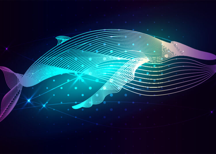Analytics Firm Santiment Says Crypto Whales Getting ‘Very Active’ on One Ethereum-Based Altcoin