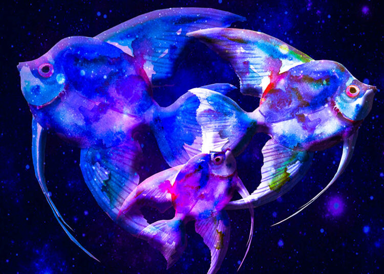 Crypto Analytics Firm Says XRP Whales Are in Massive Accumulation Mode As the Top Altcoin Outperforms Bitcoin