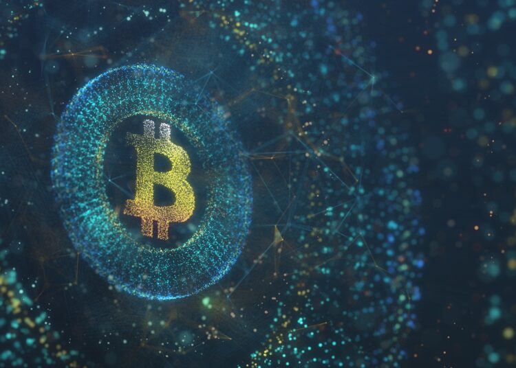 Bitcoin (BTC) adoption rising despite market crash