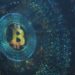 Bitcoin (BTC) adoption rising despite market crash