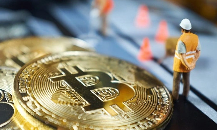 White House Fears Crypto Mining Threatens Climate Change Efforts