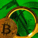 Are crypto companies transparent enough to survive the wrath of regulators?