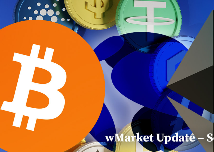 CryptoSlate Daily wMarket Update – Sept. 7
