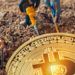 Iran Starts Licensing Crypto Miners Under New Regulatory Framework – Regulation Bitcoin News
