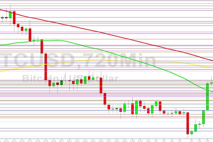Bitcoin Price Analysis: Bids Above 21049