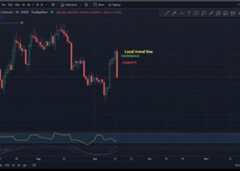 Bitcoin (BTC) to USDT chart on a 1 day time…