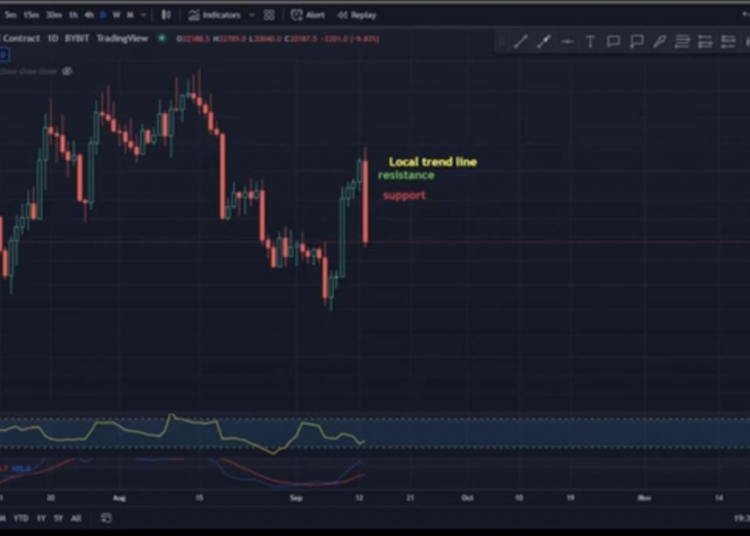 Bitcoin (BTC) to USDT chart on a 1 day time…